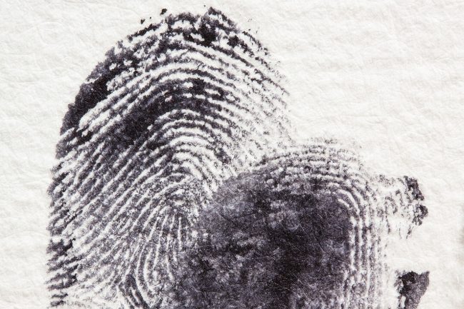 fingerprint 255904 1280