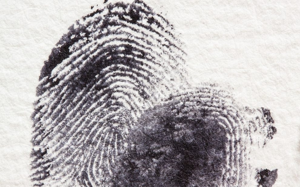 fingerprint 255904 1280
